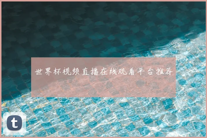 世界杯视频直播在线观看平台推荐